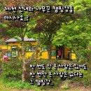 키즈 캠핑장 충북 제천 선녀와 나무꾼 캠핑장 A4