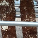 성보농장 이미지