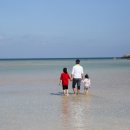 바다로 가는 사람들 이미지