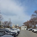 주)두물머리 | 양평 가볼만한곳 데이트코스 두물머리 주차 및 두물머리연핫도그 후기!!