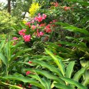 구룡공원 이미지