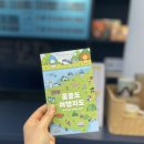 울릉고등학교 | 울릉도 기념품샵 울라웰컴하우스. 저동항 귀여운 울라 굿즈 가득한 여행코스 추천 후기!