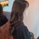 미스미스터헤어 이미지
