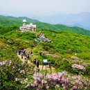 소백산 이미지