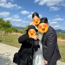 야외 웨딩 스냅 촬영-제주도 대신 선택한 대구 포유어메모리 결정