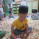 티.밥 Daum카페