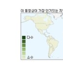 일본인들의 여론 조작(자국내의 날조를 세계에 유포) 이미지