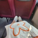 23.08.26 루시드드림 5기 다녀온 후기