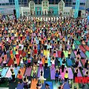 가인몰 뉴시스