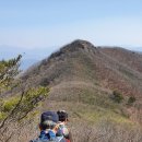 전북 진안군 선각산[높이 1148m] 정기 산행 2024년 3월 24일(제262차) 이미지