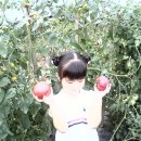 은솔하우스 이미지