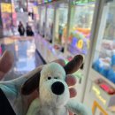 인형짱(2호점) 네이버블로그