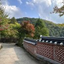 쉼터성인PC | 경기 광주 화담숲 가을 단풍 모노레일 없이 부모님과 산책한 리얼 후기 예약 주차 꿀팁