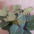 조은사람공인중개사사무소 이미지