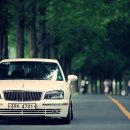 송정목장 이미지