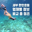 세부호핑투어 비교! 한인 업체별 정보와 가격 총정리 & 최종 선택
