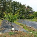 한울농장 2 이미지