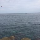 21C바다낚시