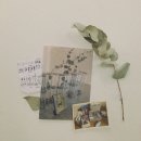 낭낭 - 순천시 대전머리길 17 | 낭낭