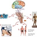 제이미 피티 스튜디오 | Feat.움직임과 PMRF 신경학) ▶제이미피티스튜디오( #독산동피티 #시흥동피티 #금천구피티 )