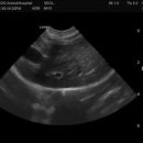 부곡동물병원 이미지