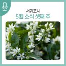 동부보건소 시민건강증진센터 | 서귀포시 5월 소식 (셋째 주)