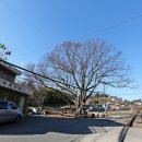 죽봉마을회관 이미지