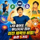 유양1통 야외운동기구 | 운동을 열심히 해도 체력이 안 붙는 이유, 3년을 헤매고 나서야 알았습니다