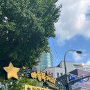 3년동안 다닌 남대문시장 유아 아동복 구입후기 (남대문 아동복 회현역 출구, 사이즈 비교, 싸게 사는...