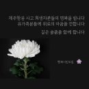 뺑덕산더미오리 안림점 이미지