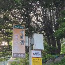 에띠앙 | 울릉도에서만 먹을수있는 특별한 현지음식 호박 피자