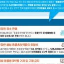 우리가족동물약국 이미지