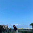 미아니아 이미지