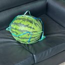 가나안노인전문요양원 이미지