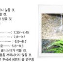 백산건강 Daum카페