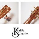 우쿨렐레(중,고급) 이미지