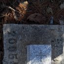 남산(서천분교)초등학교 이미지