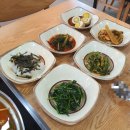 낙지와볼테기 이미지