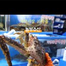 놀부수산 이미지
