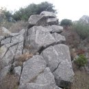 비슬산군립공원 Daum카페
