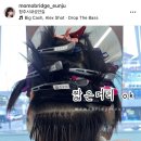 모모브릿지 이미지
