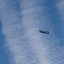 세탁쟁이 이미지