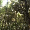 유년시절 이미지