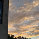 호호풀빌라 이미지