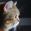 생활속 편리함 스마트폰 사용법 이미지