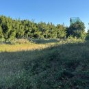 권선동 1367 이미지