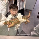 고매로43번길 | [용인] 29개월 아이와 가볼만 한 곳 _ 다이노베이 내돈내산 공세동스토리카페 후기