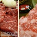 엉터리생고기 이미지