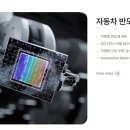 삼우가족