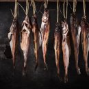 상도늘보리 이미지